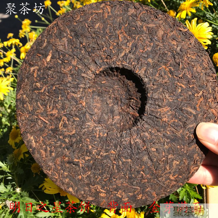 博友茶厂明日之星乔木普洱熟茶(图6)