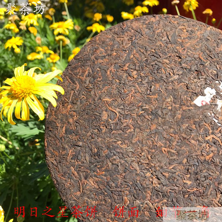 博友茶厂明日之星乔木普洱熟茶(图7)